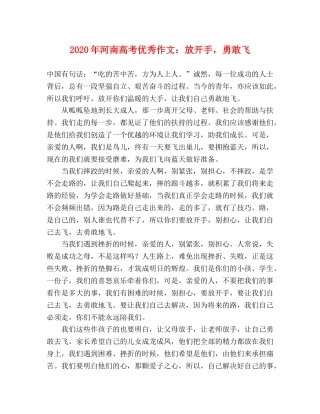 2024年河南高考优秀作文放开手，勇敢飞 