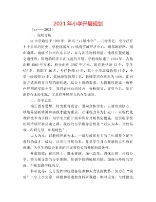 2024年小学发展规划 