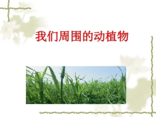 青岛版小学科学课件三年级上《-我们周围的植物》课件