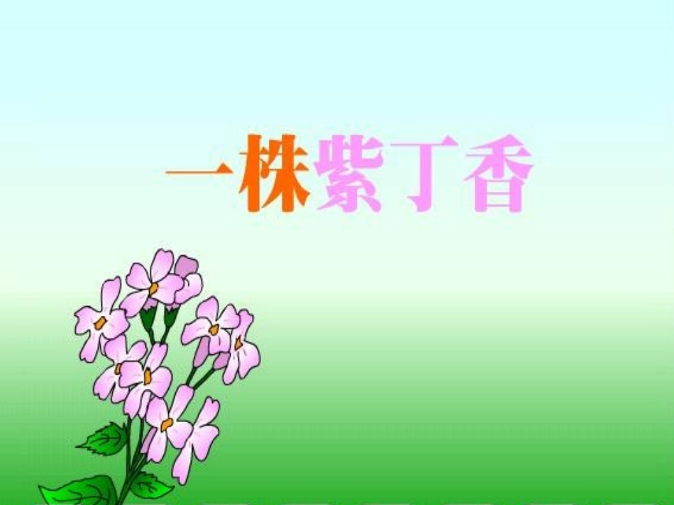 一株紫丁香(1)_第1页