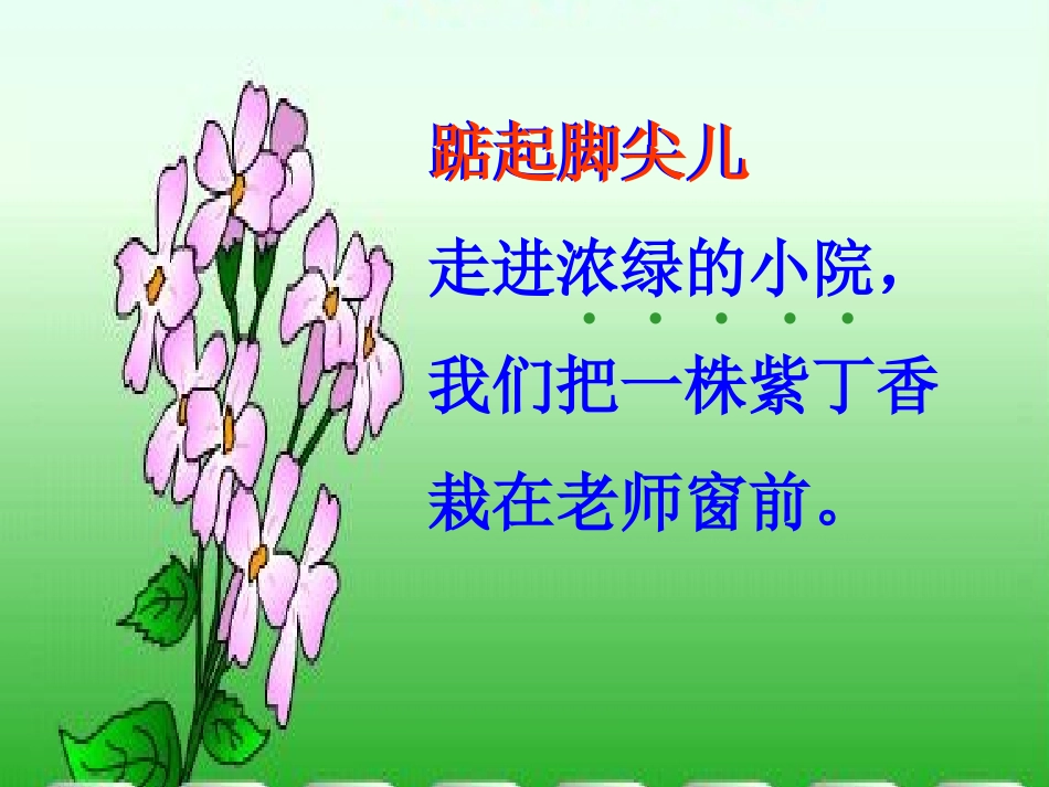 一株紫丁香(1)_第3页