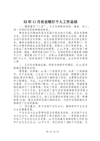 XX年11月农业银行个人工作总结