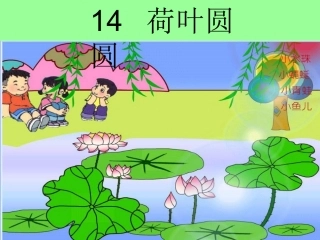 荷叶圆圆-2公开课课件