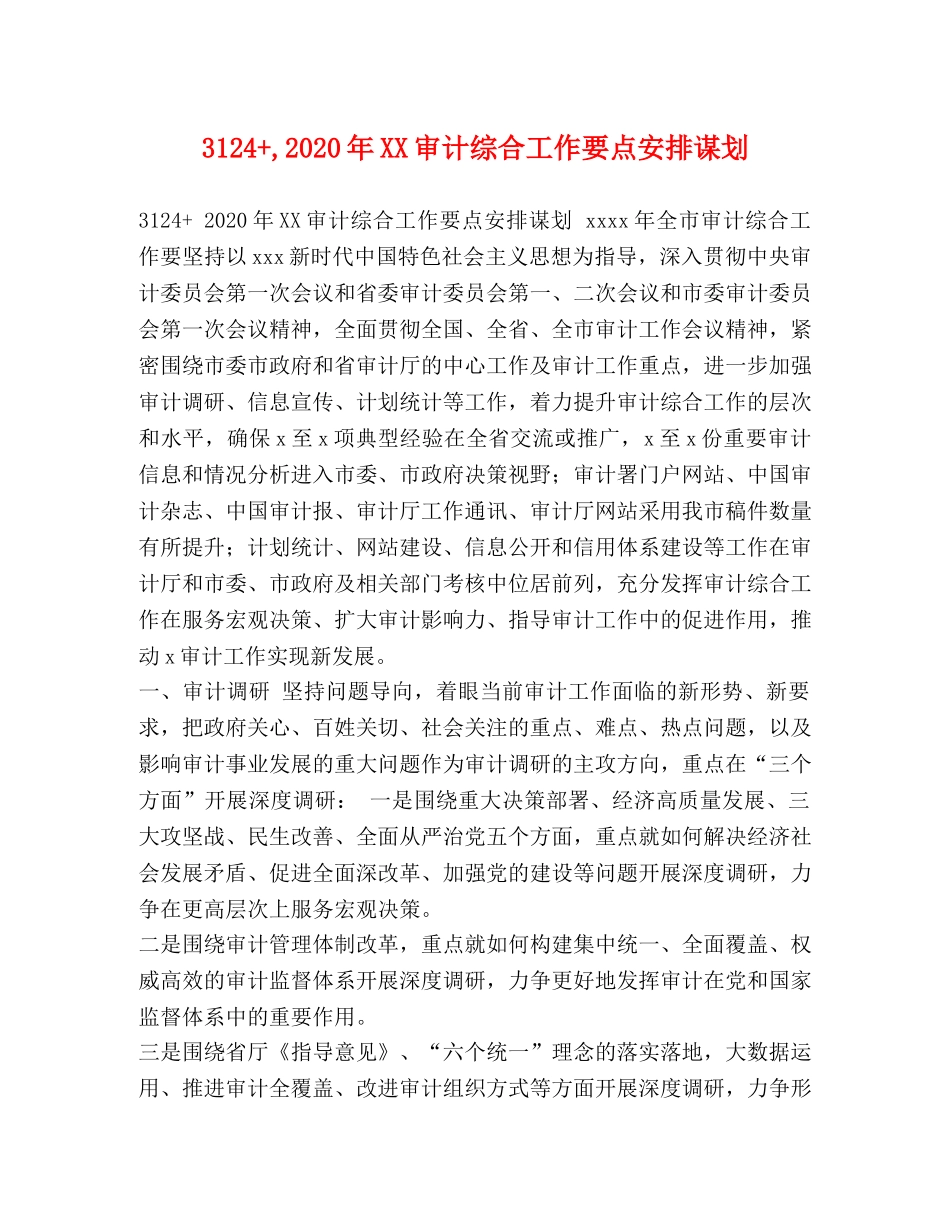 3124+,2024年XX审计综合工作要点安排谋划 _第1页