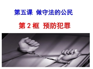 第2课时-预防犯罪