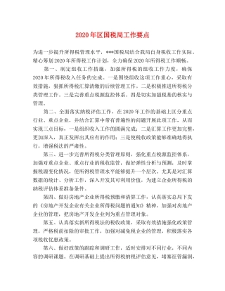 2024年区国税局工作要点 