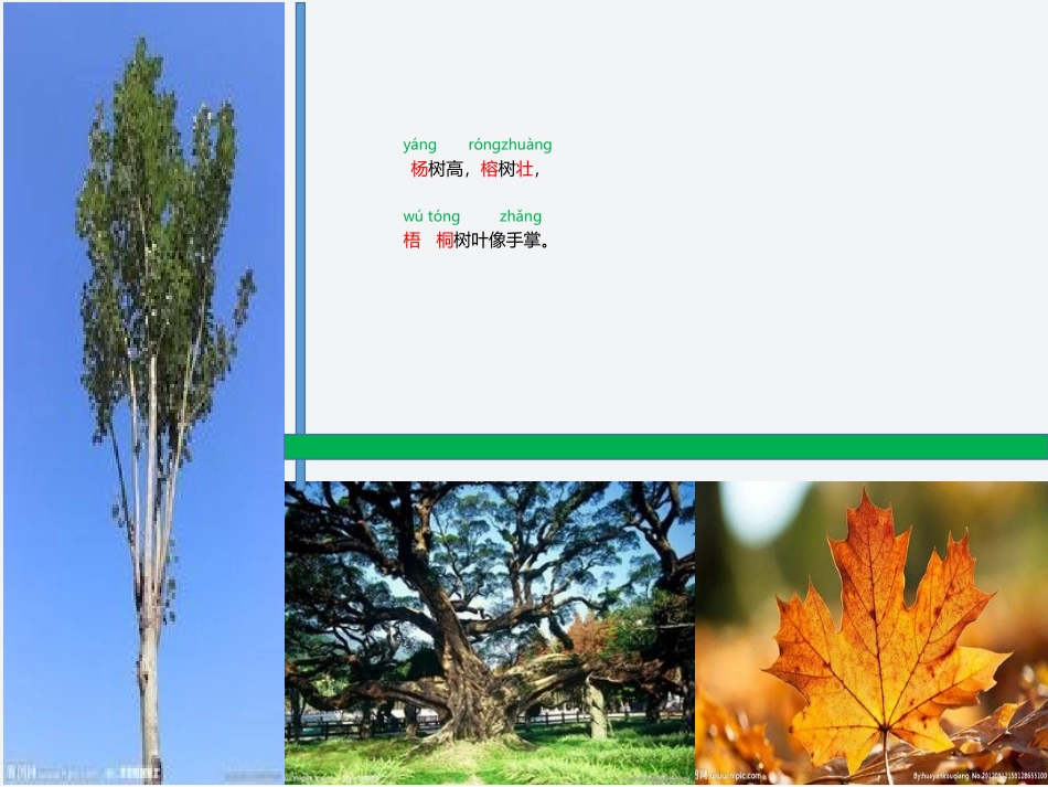 识字2：树之歌-01(人教版部编本第三册)_第2页