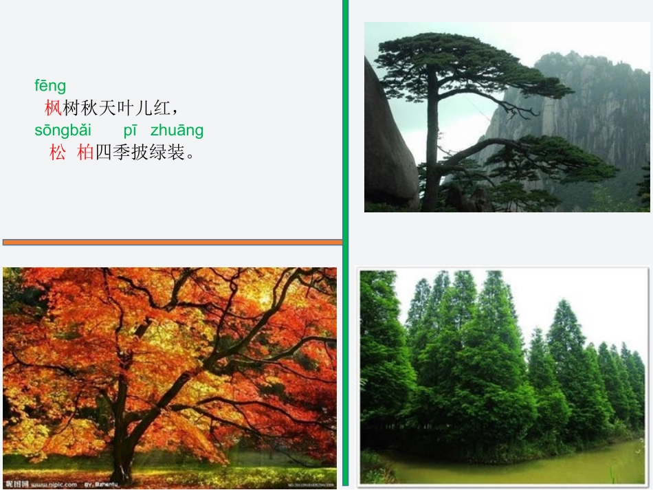 识字2：树之歌-01(人教版部编本第三册)_第3页