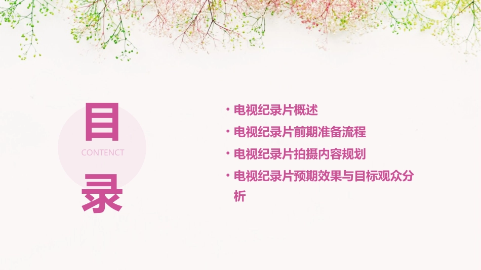 电视纪录片前期准备分析课件_第2页