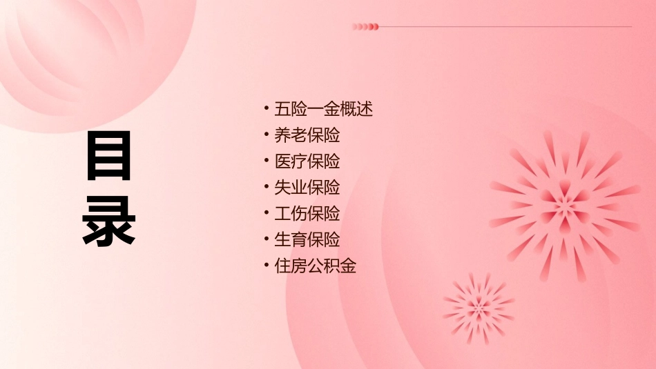 五险一金知识讲座通用课件_第2页