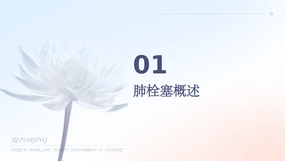 肺栓塞查房版护理课件_第3页