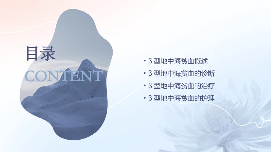 β型地中海贫血诊断治疗护理课件_第2页