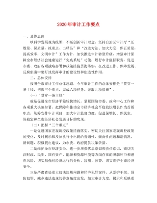 2024年审计工作要点 