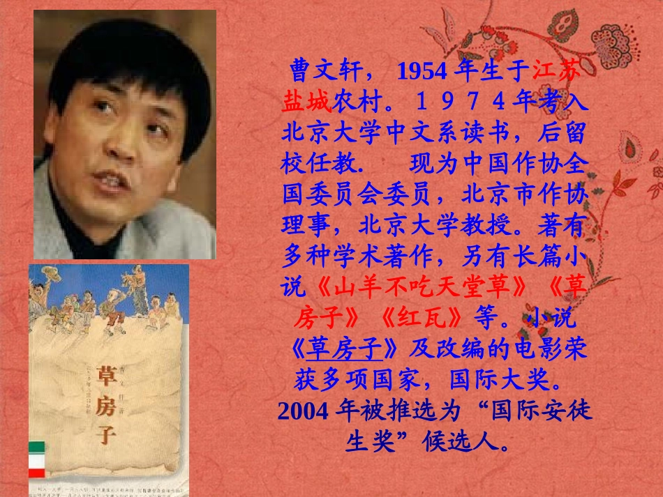 浙江省温岭市第三中学九年级语文上册《孤独之旅》课件-新人教版_第3页