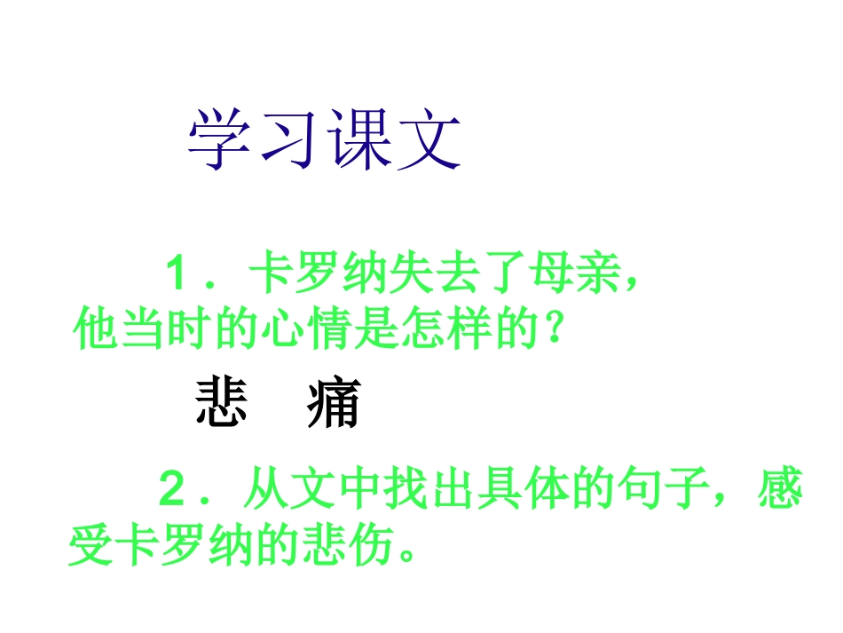 卡罗纳ppt_第2页