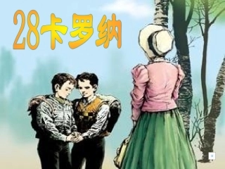 卡罗纳ppt