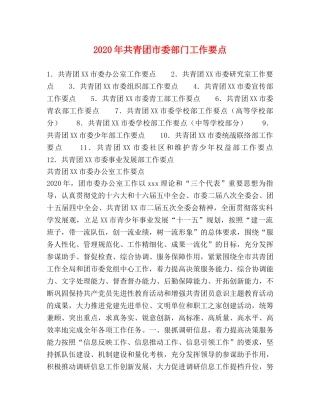 2024年共青团市委部门工作要点 