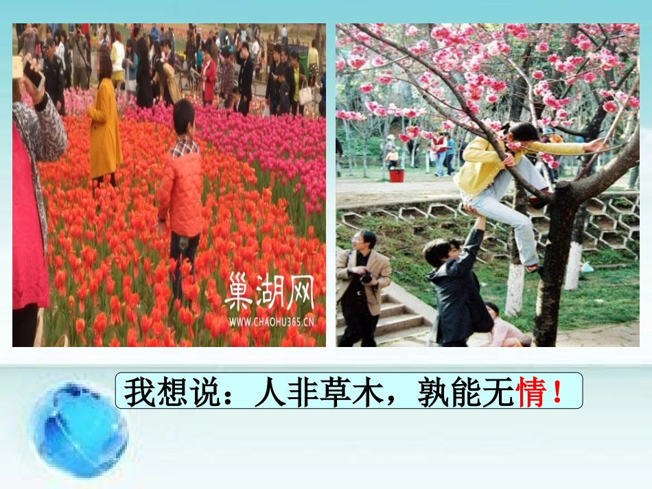 原创资源.初中道德与法治人教版七年级《我们的情感世界》-课件_第1页