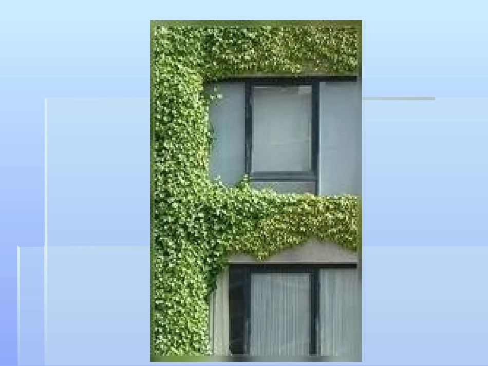 用字母表示数(4)邱丽萍_第2页