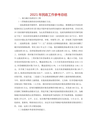 2024年民政工作参考总结 