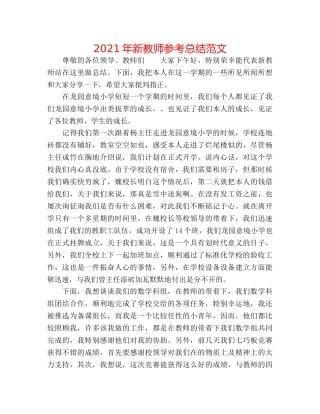 2024年新教师参考总结范文 