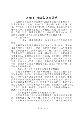 XX年11月政务公开总结