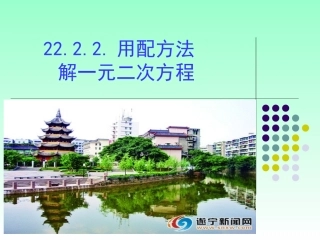 22.2.2配方法