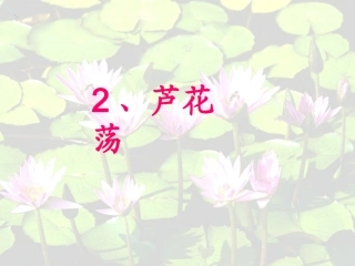 2《芦花荡》课件