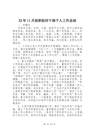 XX年11月挂职驻村干部个人工作总结