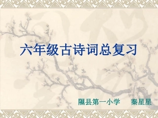 六年级古诗词总复习