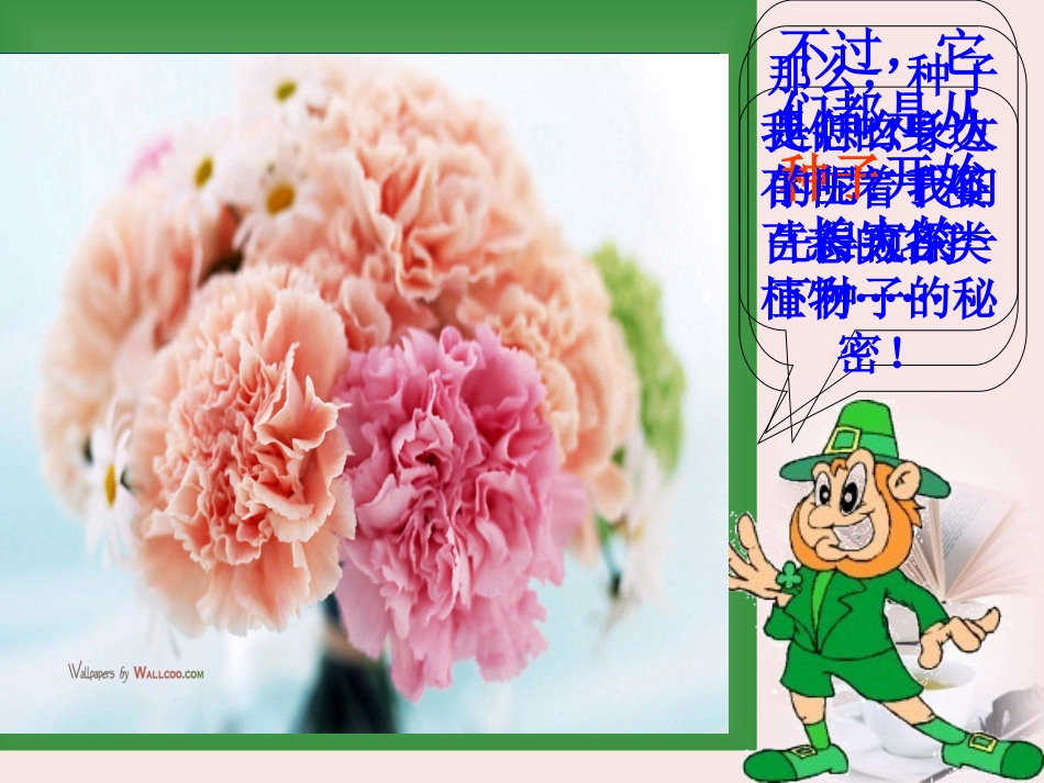 浙江省绍兴县杨汛桥镇中学七年级科学《植物的一生》课件(1)_第3页