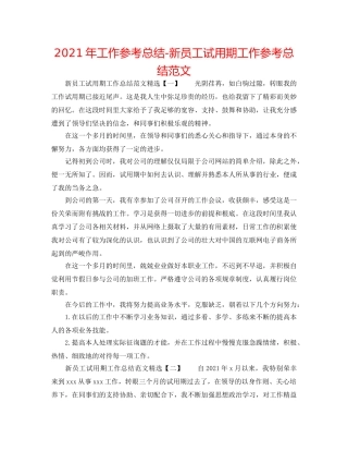 2024年工作参考总结-新员工试用期工作参考总结范文 