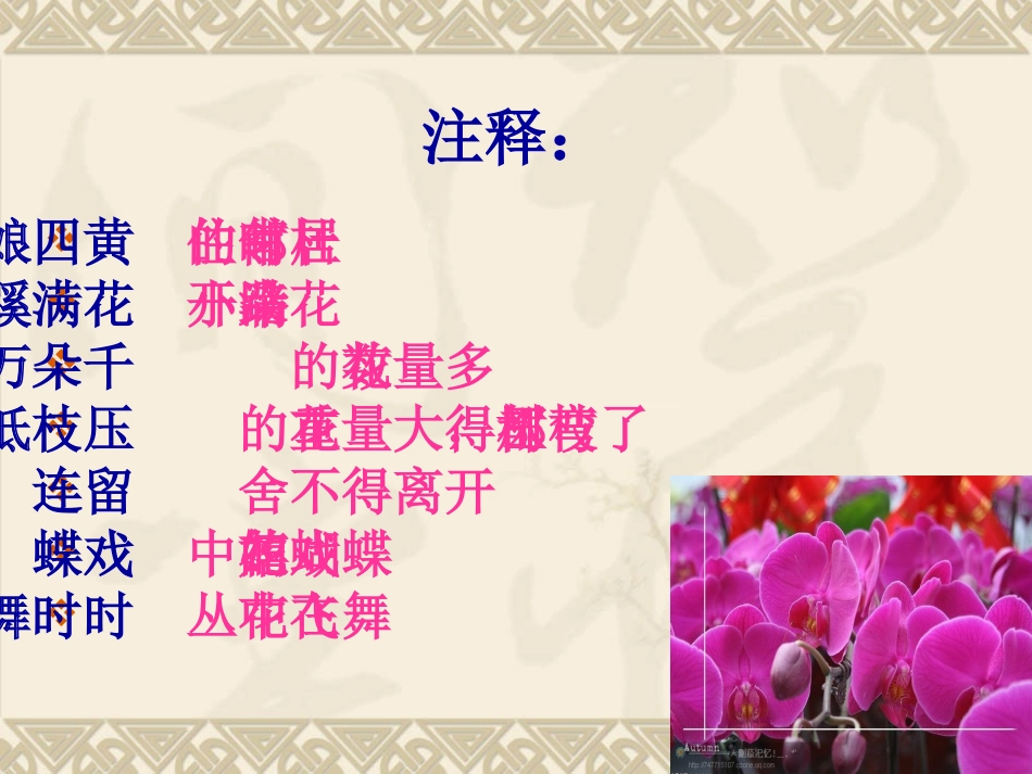 《江畔独步寻花》课件_第3页