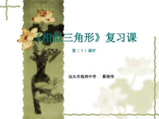 《相似三角形的性质与判定》复习课(第1课时)