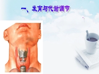 浙江省温州市高二生物-第3节-高等动物的内分泌系统与体液调节(第2课时)课件