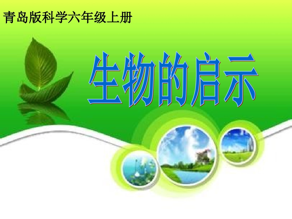青岛版小学科学六年级上册《生物的启示》课件_第1页