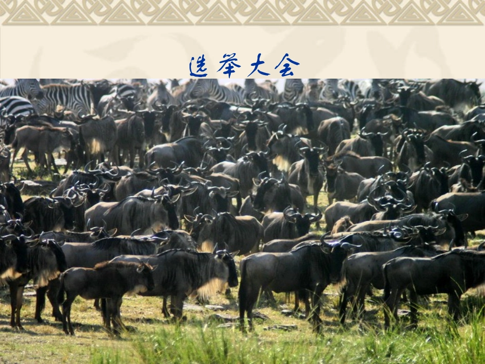 《作为生物的社会》_第2页