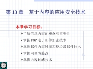 信息安全技术-infosec-ch13