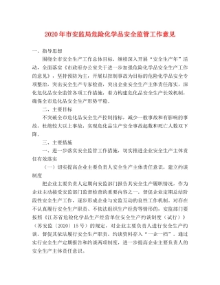 2024年市安监局危险化学品安全监管工作意见 