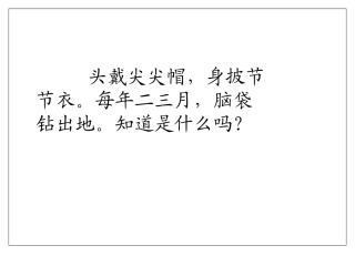 《春笋》ppt课件4