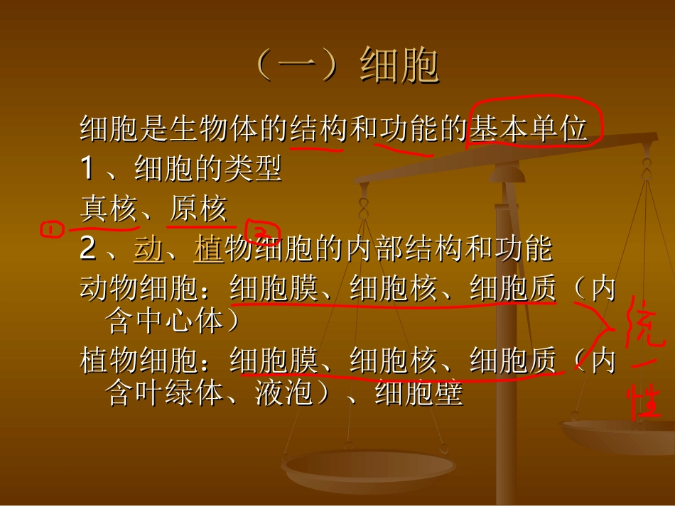 生物体的结构层次_第2页
