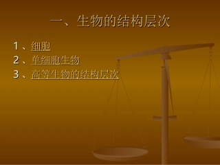 生物体的结构层次