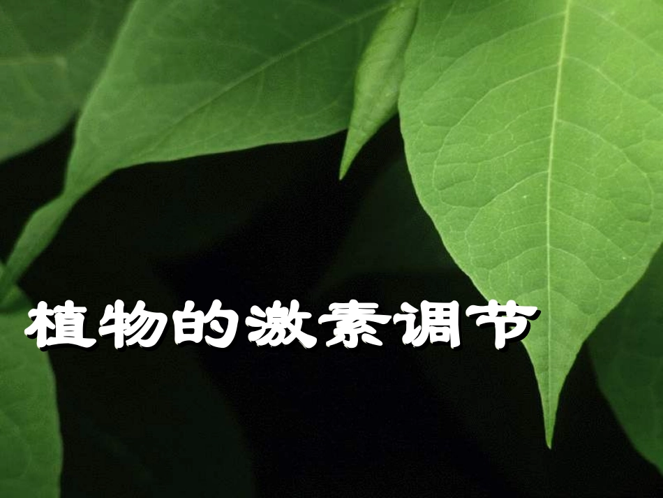 浙江省新安江中学高三生物《植物生命活动的调节》课件2_第1页