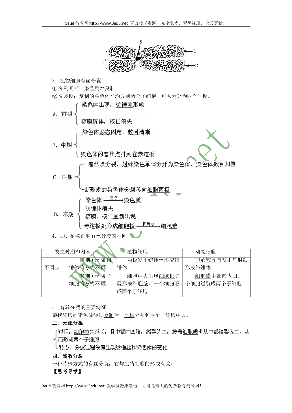 高一生物细胞增殖复习1_第2页