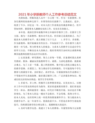 2024年小学新教师个人工作参考总结范文 