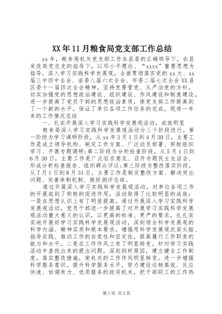 XX年11月粮食局党支部工作总结
