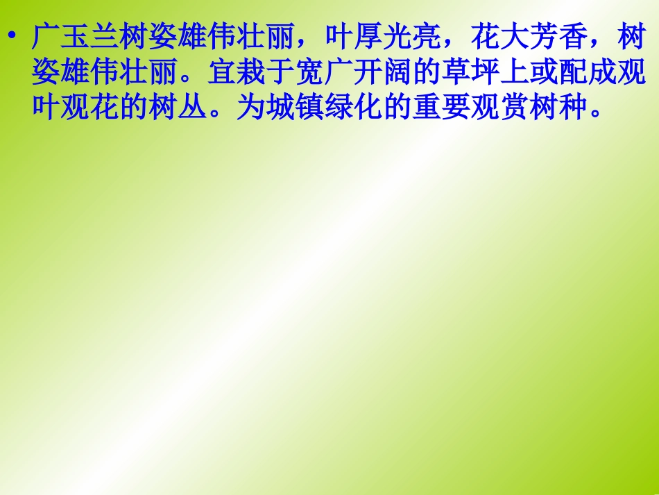 广玉兰[1].ppt_第3页