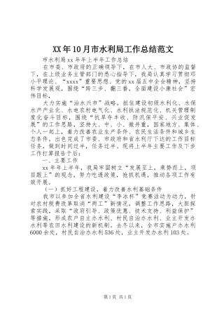 XX年10月市水利局工作总结范文
