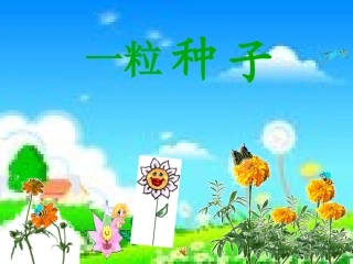 《一粒种子》的课件.
