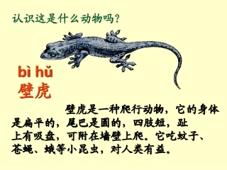 17-小壁虎借尾巴